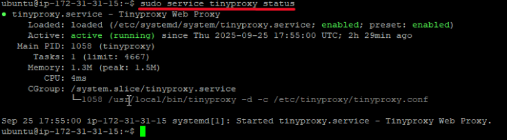 Guide – How To Start – TinyProxy 1.11.0 Easy Proxy Server based on ...